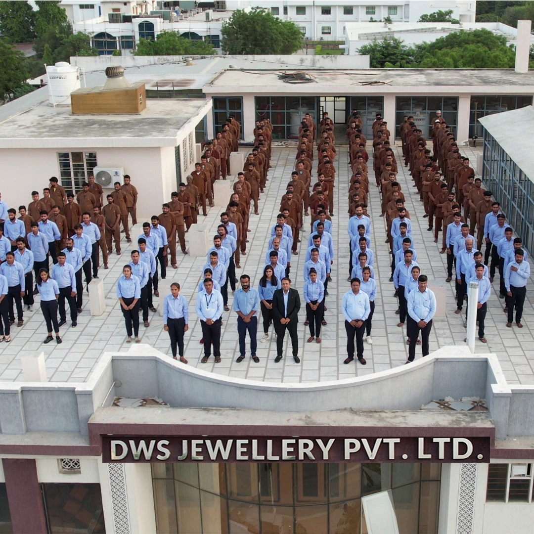DWS Jewellery Pvt. Ltd. corporate team photo