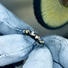 https://www.dwgjewellery.com/Upload/testimonial/testimonial_2706202649100x100.jpeg